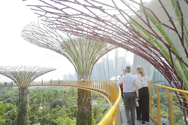 UK delegates visit Garden by the Bay, Singapore